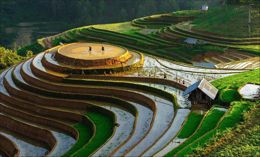 Vue aérienne des rizières en terrasses de Mu Cang Chai sous un ciel nuageux