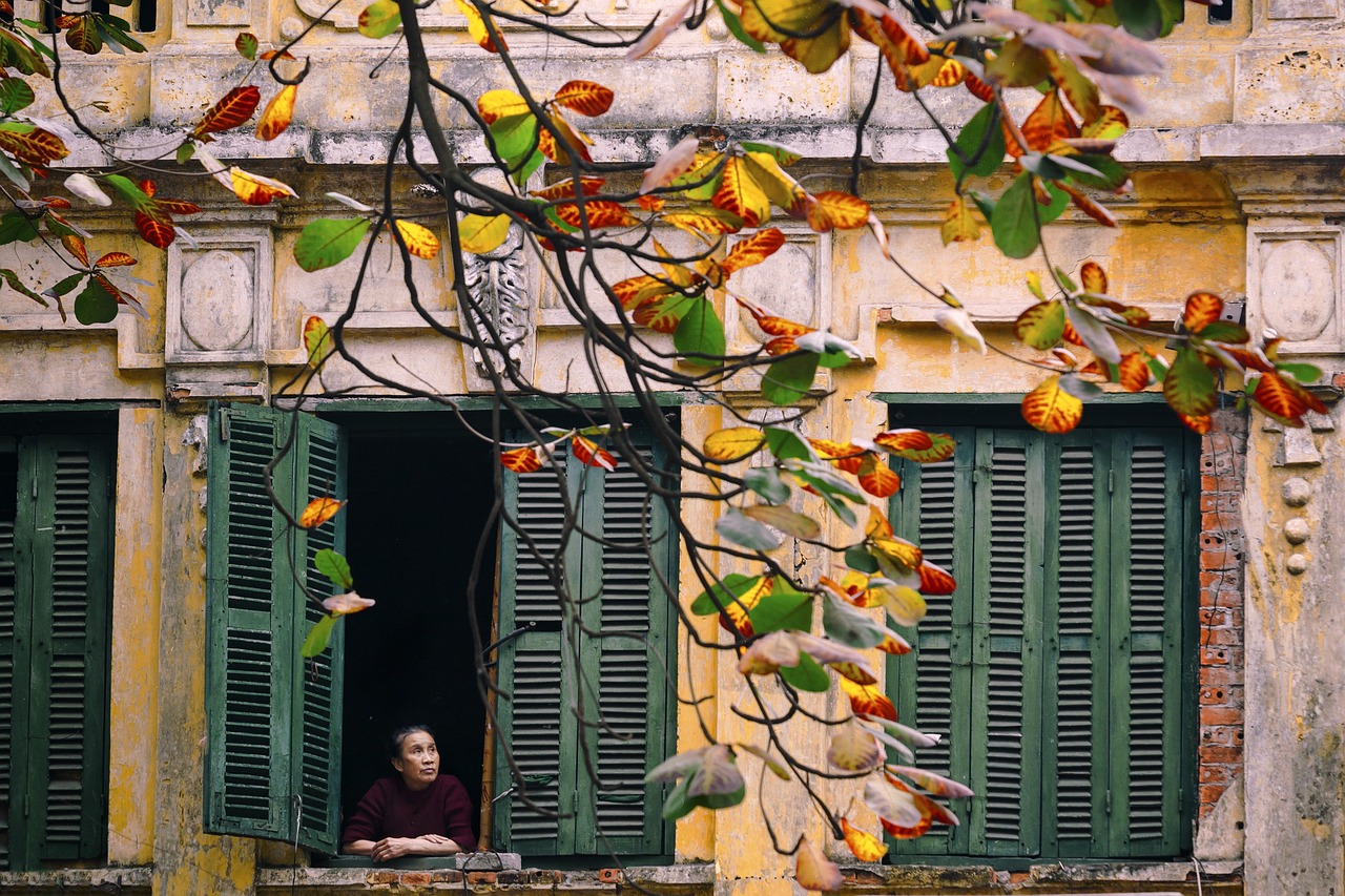 Old ochre facade with green wooden shutters in Hanoi's Old Quarter, framed by an almond-tree branch with russet autumn leaves