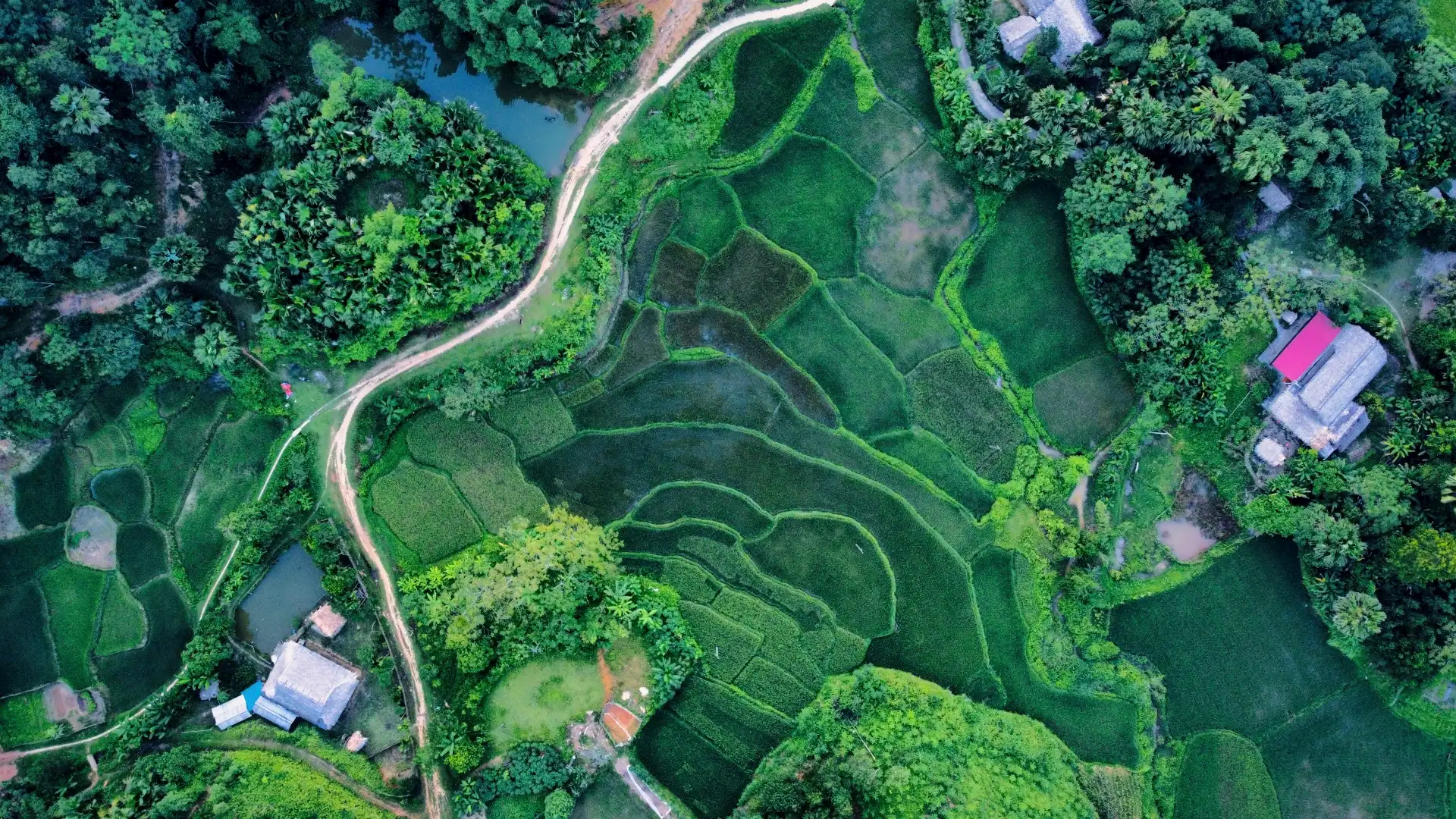 Aerial view of terraced rice fields in northern Vietnam
