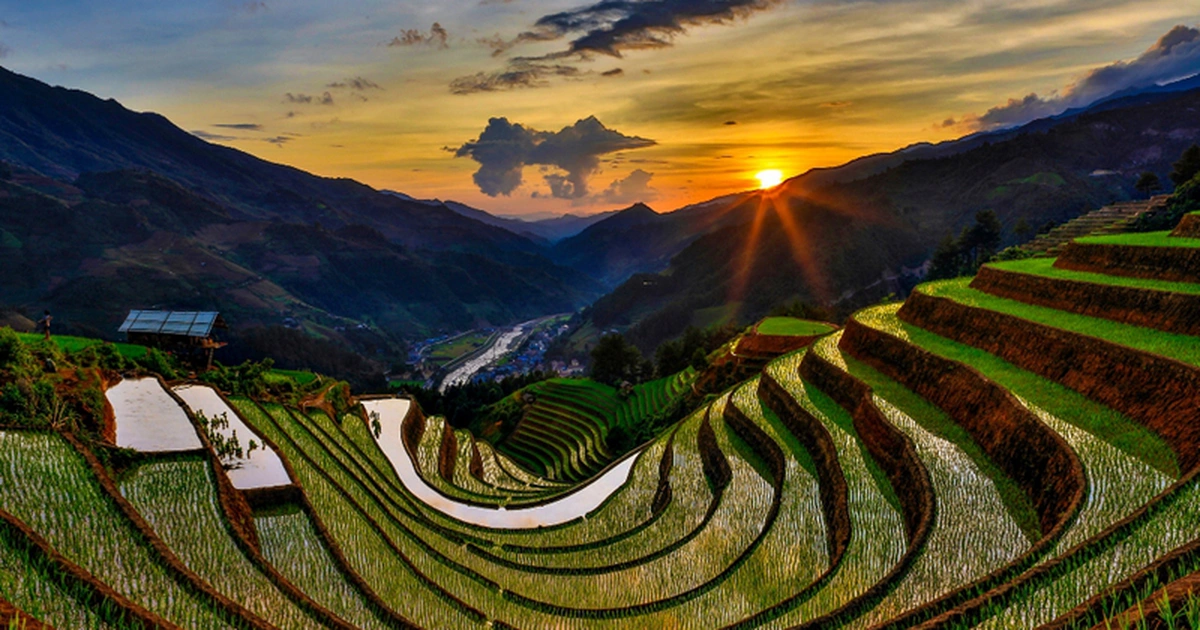 Lush green rice terraces in Mu Cang Chai during the rice planting season