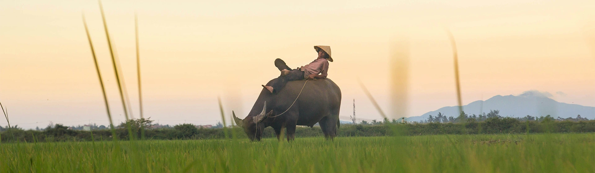 VietNomads - Contact us hero background