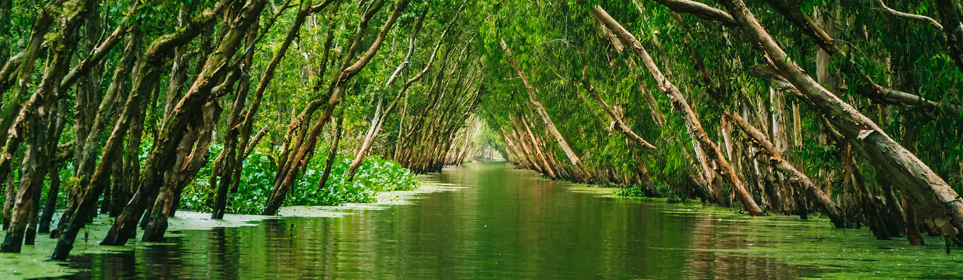 VietNomads - Plan your trip hero background